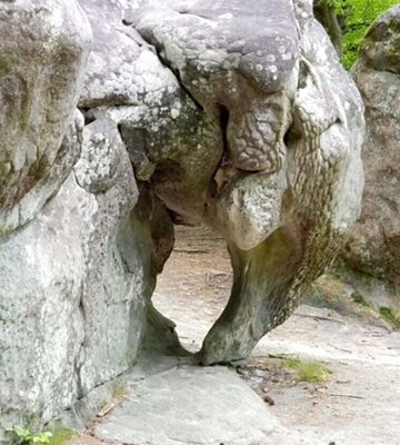 Un petit texte à double sens