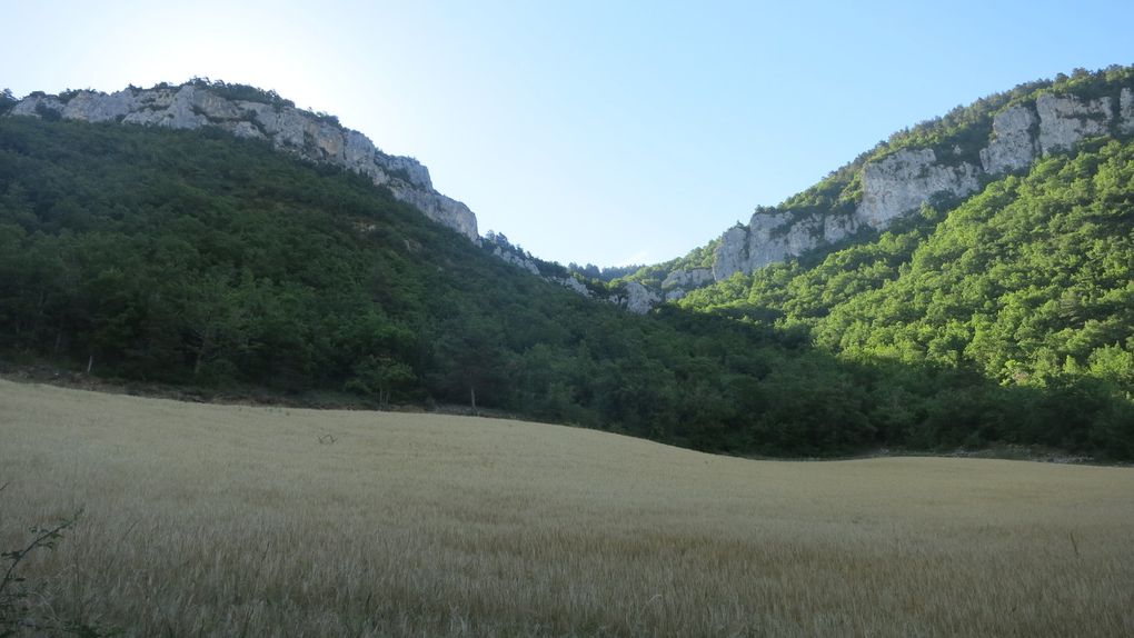 Du Haut Languedoc aux Gorges du Tarn via le Larzac