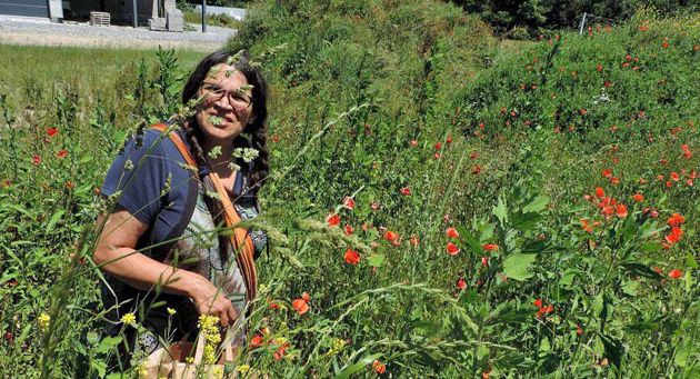 Conférence "les plantes sauvages de chez nous" samedi 15 juillet de 14h à 16h par Sabrina MILLOT