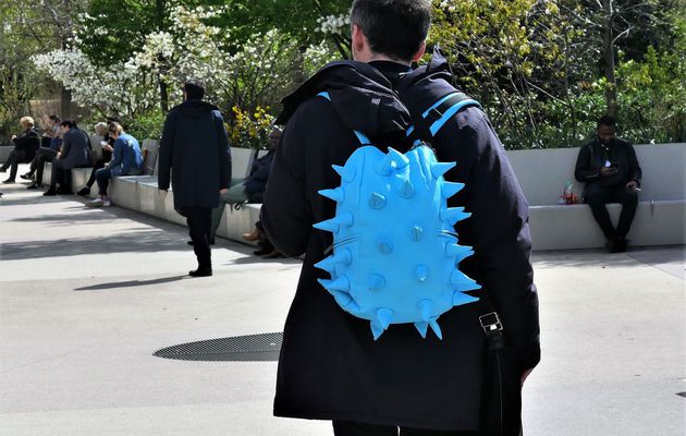 11 avril. Raphaël Glucksmann a un hérisson dans le dos! Jardins des Halles.