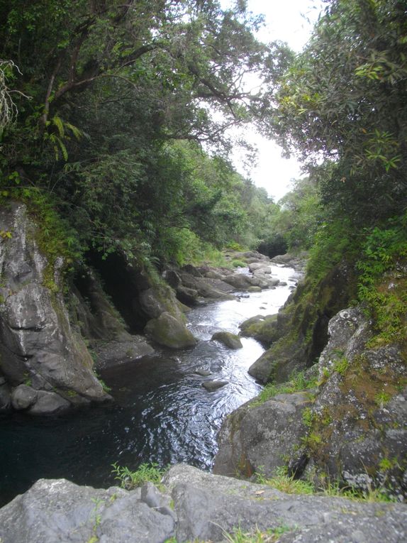 Album - La Réunion - Les Randos