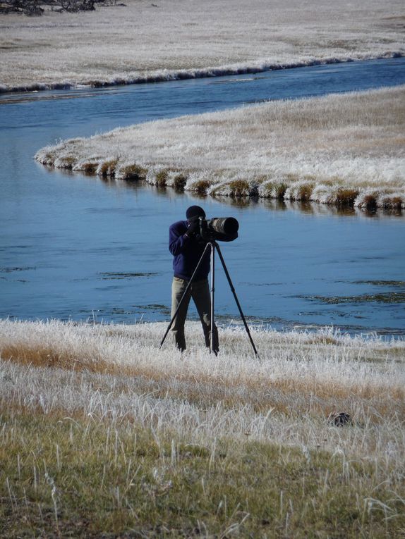 Album - 15.Yellowstone (Wyoming-octobre)