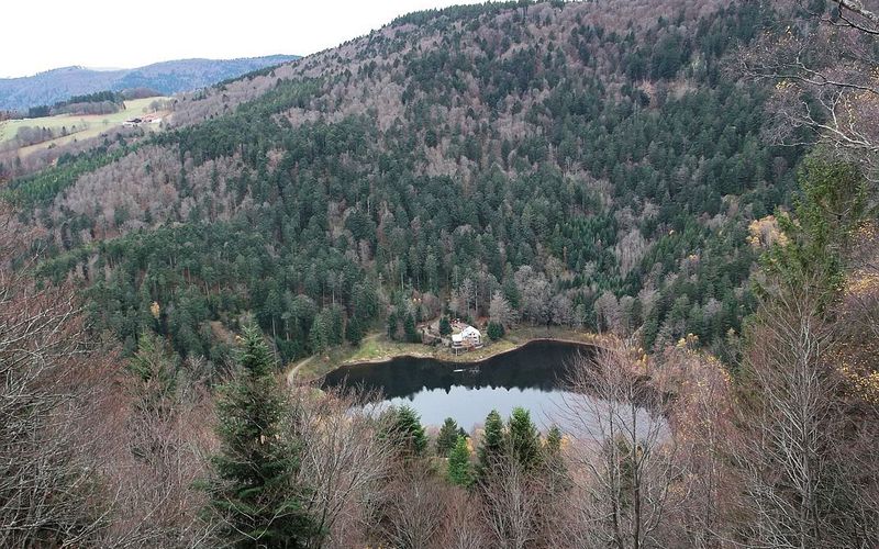 RIMBACH : NEUWEIHER ET PERCHES, LE CIRCUIT DES LACS  (R 35)