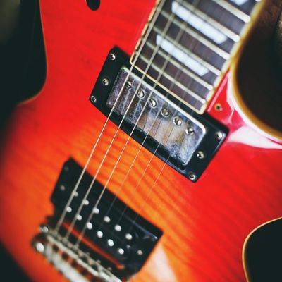 Étude Détaillée Sur Le Prix De La Tuber Magnatum Fraîche : Facteurs, Tendances Et Implications.