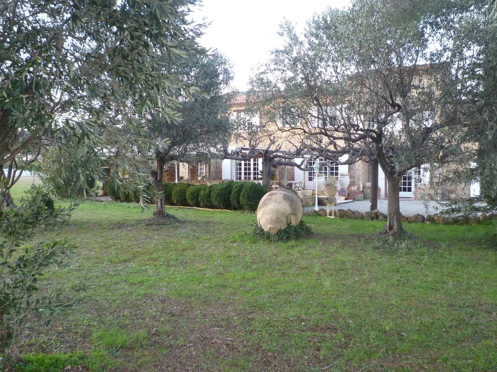 Veille bastide provençale au milieu des oliviers, Charme, calme et détente.