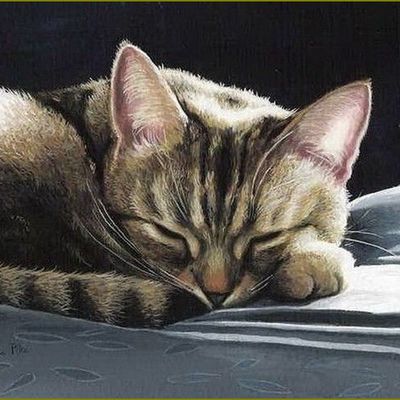 Les chats par les peintres -  Celia Pike
