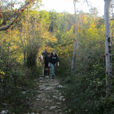 cabane de labeur 