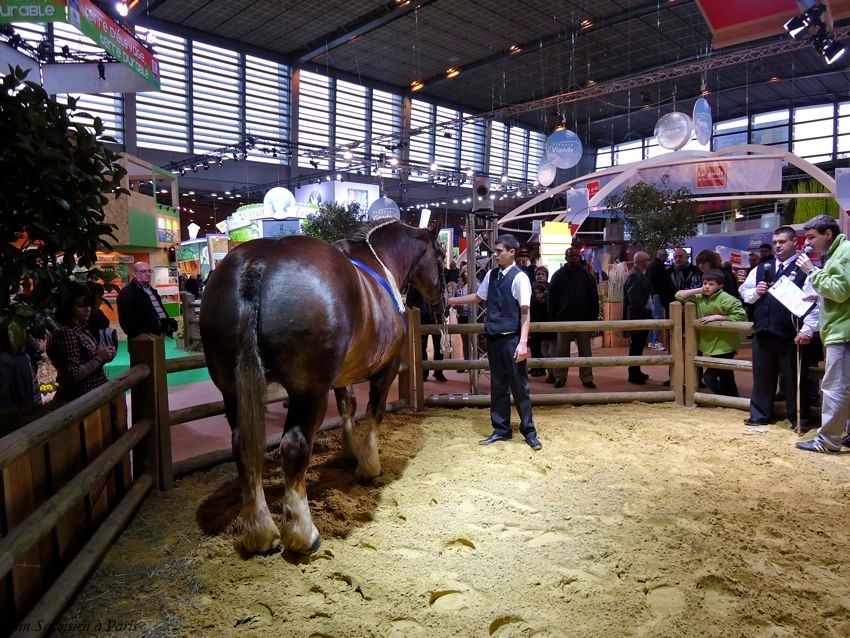 Album - Salon de l'agriculture