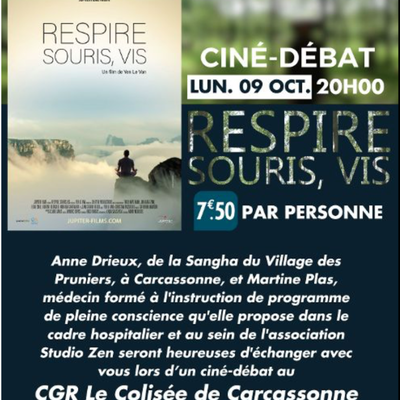 Projection à Carcassonne : Respire, Souris, Vis  