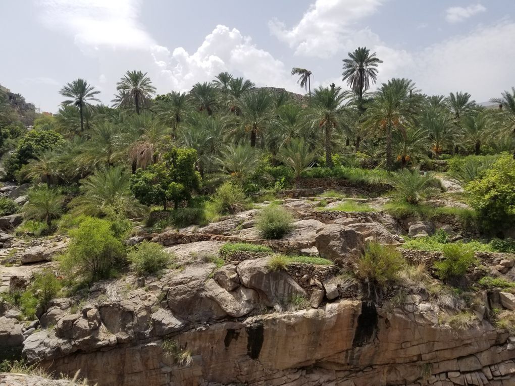 FABRIQUEZ VOTRE VOYAGE AU SULTANAT D'OMAN.