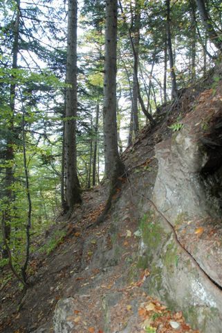 Photos de randonnées dans les massifs du Vercors et du Dévoluy