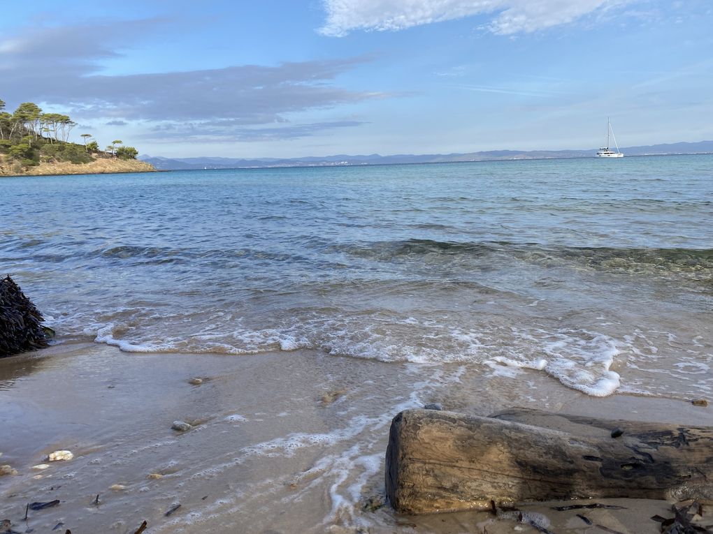 L'île de PORQUEROLLES et sa plus belle plage d'Europe