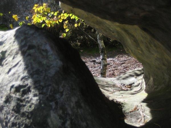 Paris, de l'insolite au classique, du b&eacute;ton &agrave; la verdure...<br/>