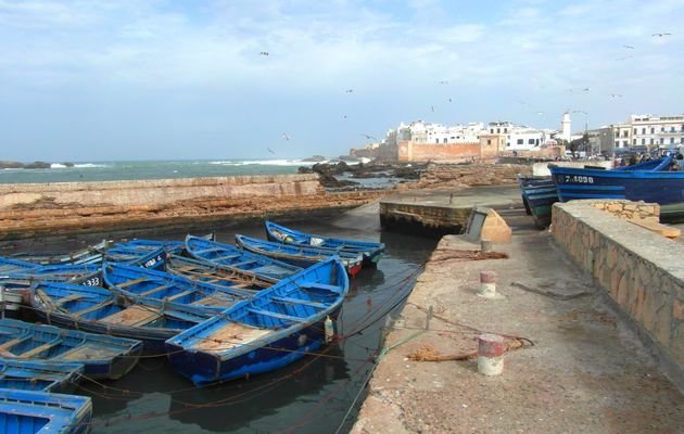 Essaouira, visite du Port et de la Medina