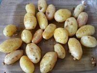 3 - Faire frire l'ail dans l'huile de la même casserole, incorporer les herbes et laisser cuire 2 mn. Rajouter le poulet, verser le vin blanc, couvrir et laisser mijoter 10 à 15 mn à feu doux. Incorporer en fin de cuisson le jus du citron. Rectifier l'assaisonnement si besoin. Sortir les pommes de terre du four. Dresser les suprêmes de poulet dans un plat avec les pommes de terre autour, décorer d'un peu de salade et de quartiers tomates. Servir aussitôt accompagné de la sauce (pour napper le viande chacun à son goût) et d'un vin rosé ou d'un vin espagnol plus corsé (Rioja, Sangre de Toro...)