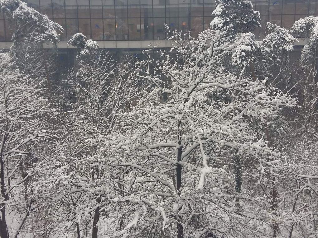 Bibliothèque nationale de France sous la neige et indoors