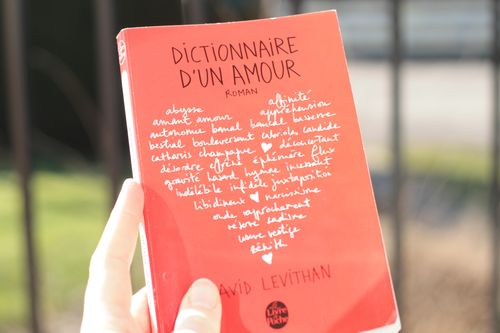 Dictionnaire D Un Amour De David Levithan Au Milieu Des Livres