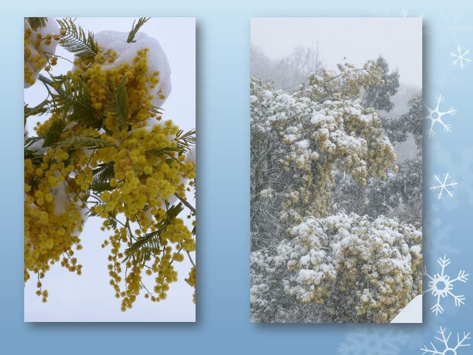 Album - Les aléas climatiques