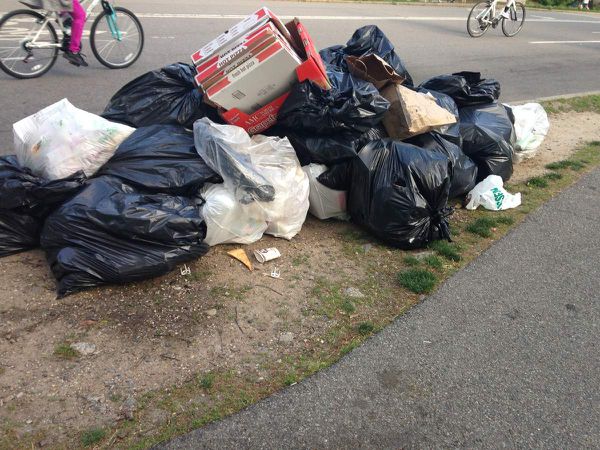 Toujours Central Parc, le soir, poubelles et animaux sauvages 