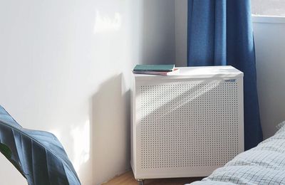 What can You Expect From the HomeSmart Air Purifier?