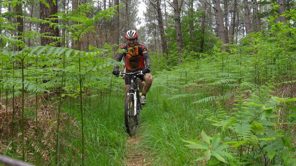 Week-end AGVTT 2016