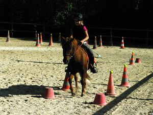 Equifun au St Eynard (part2)