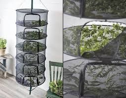 Faire Secher Ses Plantes Aromatiques Le Jardin Createur