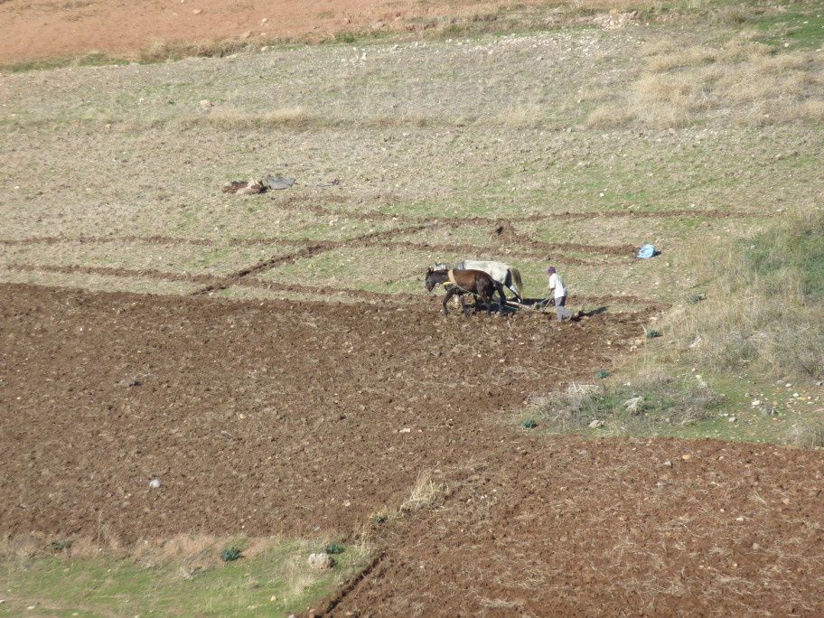 Album - Maroc-2010-IV