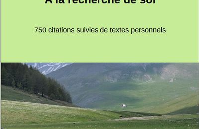 Livre (version électronique) "À la pêche aux citations, À la recherche de soi - 750 citations suivis de textes personnels"