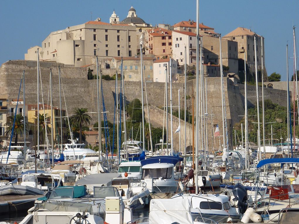 Escapade dans l'Ile de Beauté