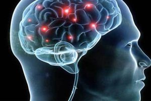 Científicos crean casco que podría decifrar como “hablan” las neuronas