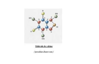 I Qu'est-ce que la caféine?