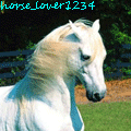 horse_lover1234