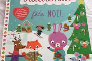 Violette  Rose fête noël 