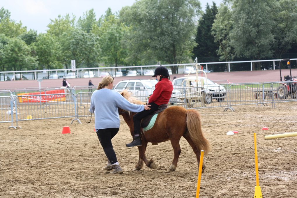 Voici un exemple d'équifun que nous mettons en place durant l'année scolaire. Celui de Cordemais se déroule pendant les finales départementales d'équitation de Saut d'obstacle, de Pony-games, etc.