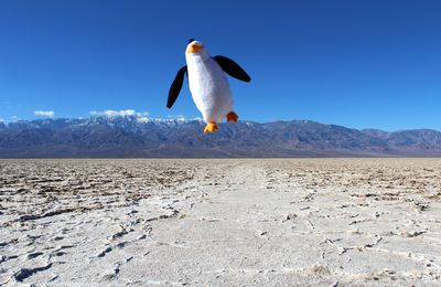 Badwater Basin, Death Valley, USA