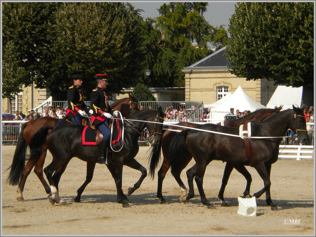 La Garde Républicaine 24 et 25 septembre 2011 - Vincennes.