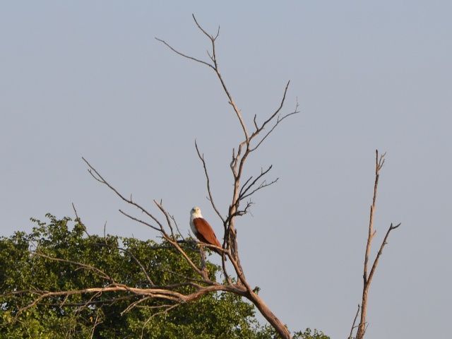 Album - Sri Lanka 1