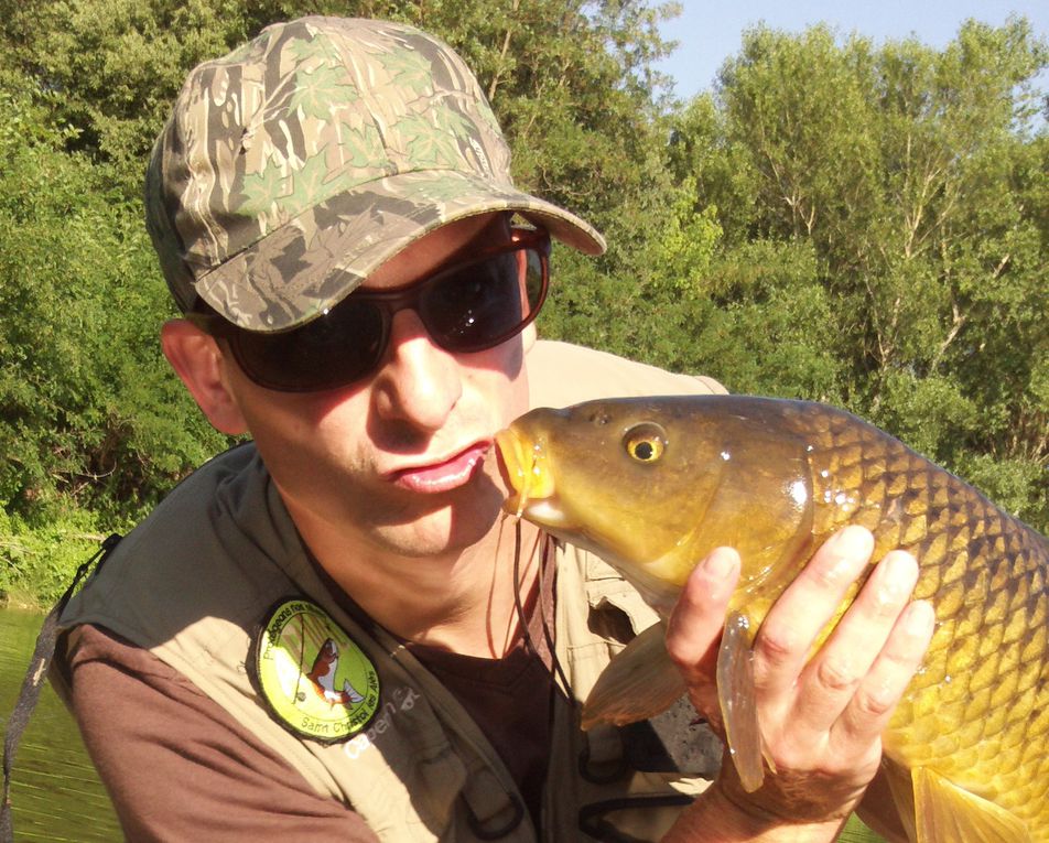 Une série de photos de carpes prise a la mouche