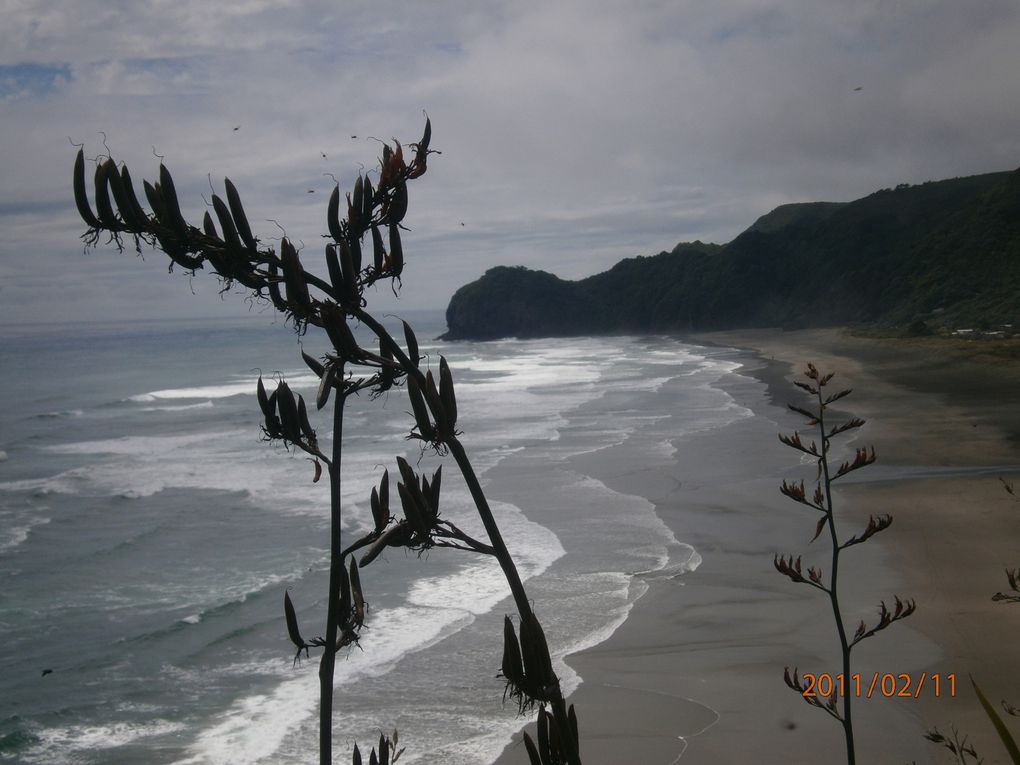 Album - Piha-Beach--canyoning