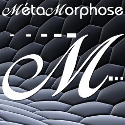 www.web-metamorphose.fr