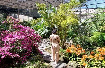 Estufa fria et jardin universitaire de LISBONNE