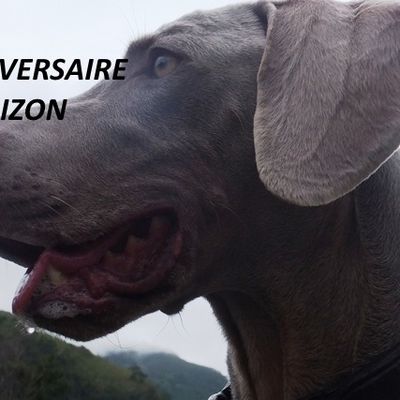 BON ANNIVERSAIRE - Barbizon