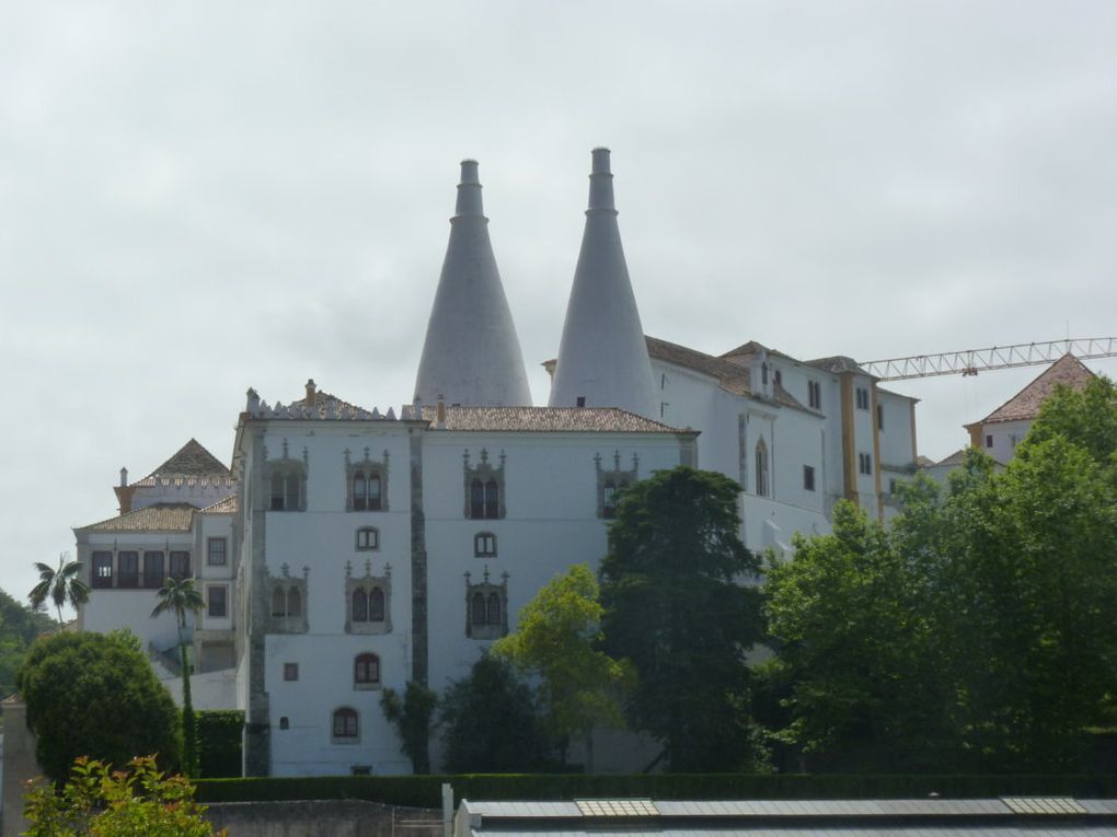Portugal 2019 J5-Obidos-Sintra