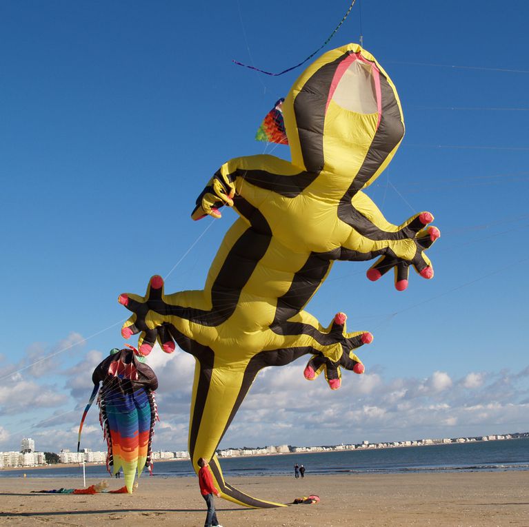 Album - Cerf volant plage de La Baule