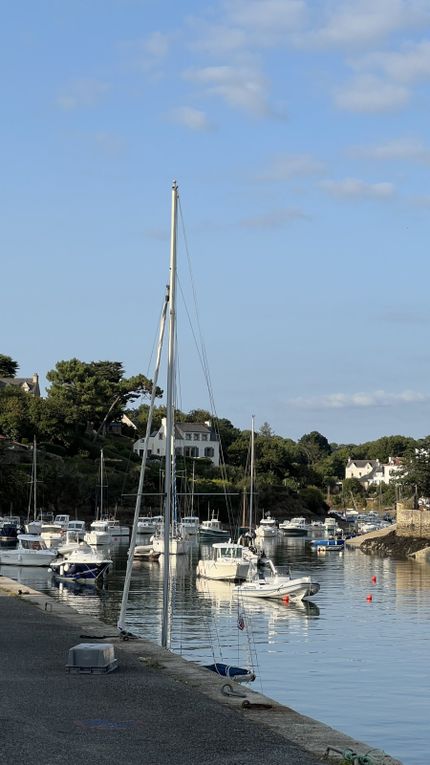 Très agréable randonnée musicale suivie par 85 personnes