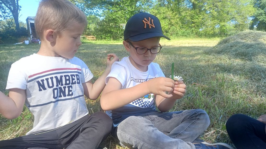 L'école du dehors en maternelle