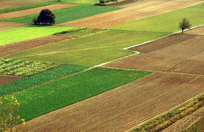 Couleurs du monde - Agriculture, pêche