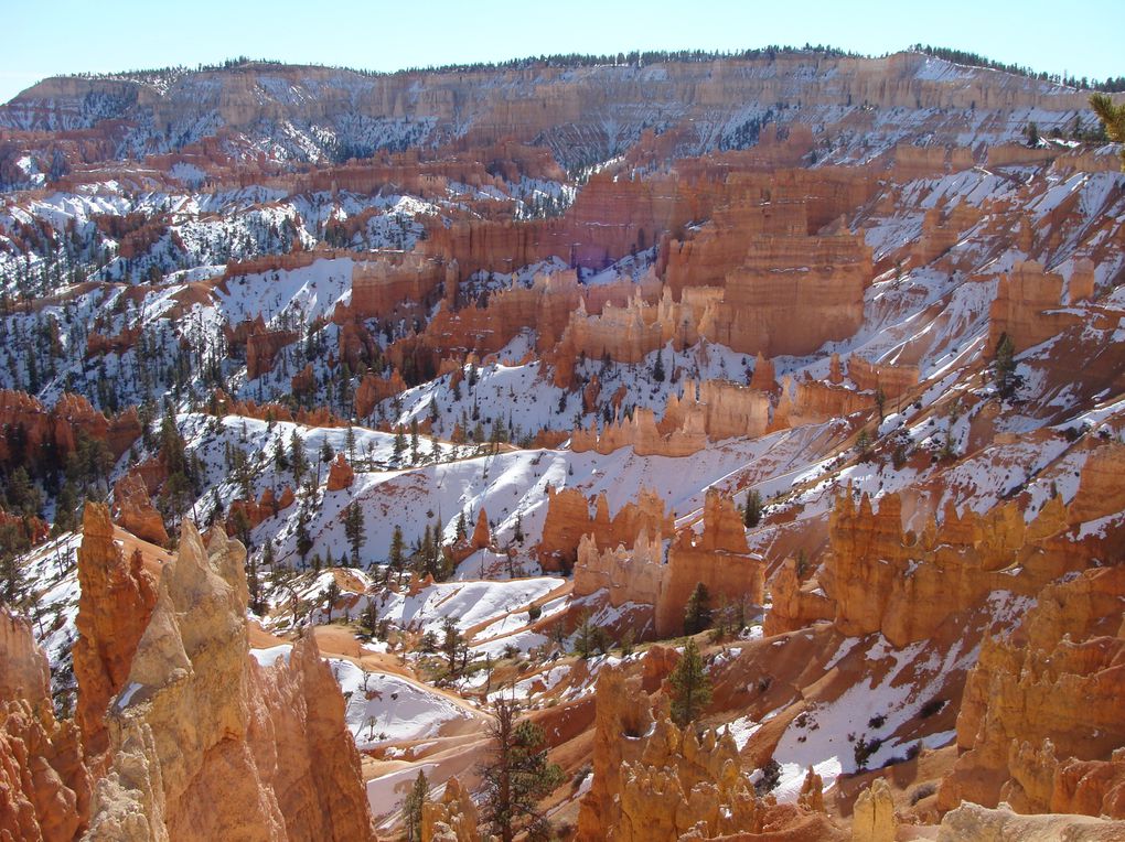 Winter time around Utah, Nevada and Arizona with Benji.