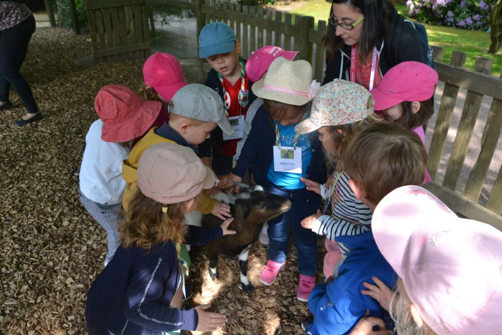 Sortie scolaire des PS-MS- GS au Zoo de Champrépus